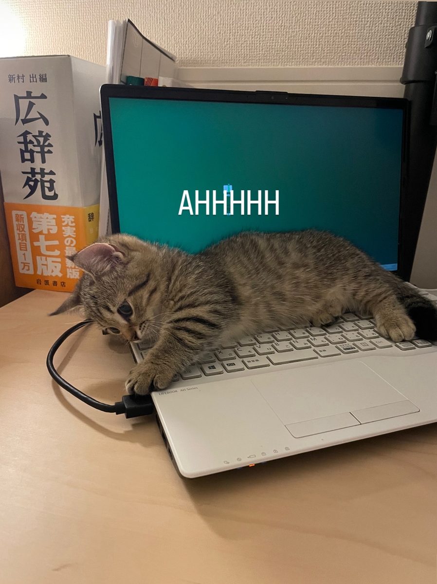 ノートパソコンの上に乗っかっている猫。上にはAHHHHHの字。