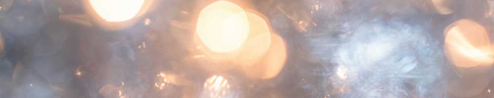 20260619月報